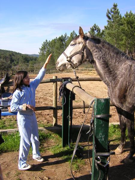 moi et  le cheval